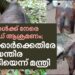 പശുക്കള്ക്ക്-നേരെ-ആസിഡ്-ആക്രമണം;-അടിയന്തര-നടപടി-സ്വീകരിക്കുമെന്ന്-മന്ത്രി-|impact