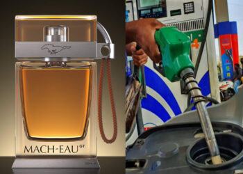 പെട്രോൾ-ഒന്ന്-മണപ്പിക്കാനെങ്കിലും-കിട്ടുവോ?-എന്തായാലും-പൂശാൻ-കിട്ടും