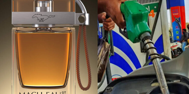 പെട്രോൾ-ഒന്ന്-മണപ്പിക്കാനെങ്കിലും-കിട്ടുവോ?-എന്തായാലും-പൂശാൻ-കിട്ടും