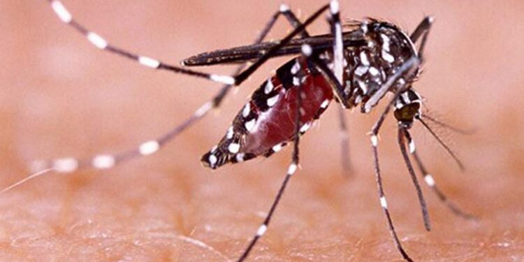 മൂന്ന്-പേര്‍ക്ക്-കൂടി-സിക്ക;-സംസ്ഥാനത്ത്-ഇതുവരെ-രോഗം-സ്ഥിരീകരിച്ചത്-41-പേർക്ക്