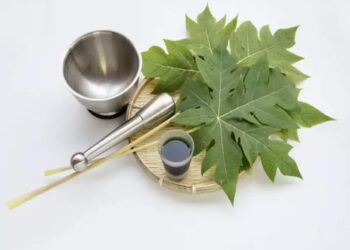 പ്ലേറ്റ്‍ലെറ്റ്-കൗണ്ട്-കൂട്ടാൻ-പപ്പായ-ഇലകൾ;-ഇങ്ങനെ-ഉപയോഗിക്കാം