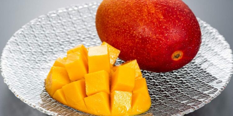 ഇന്ന്-ദേശീയ-മാമ്പഴ-ദിനം!-ലോകത്തിലെ-ഏറ്റവും-വിലകൂടിയ-മാങ്ങ-ഏതെന്നറിയാമോ?