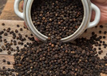 കുരുമുളക്-കഴിച്ചോളൂ,-രോഗങ്ങളെ-അകറ്റാം