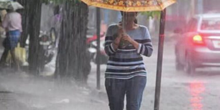 സംസ്ഥാനത്ത്-ഇന്ന്-എല്ലാ-ജില്ലയിലും-ശക്തമായ-മഴയ്ക്ക്-സാധ്യത;-നാല്-ജില്ലകളിൽ-ഓറഞ്ച്-അലേർട്ട്