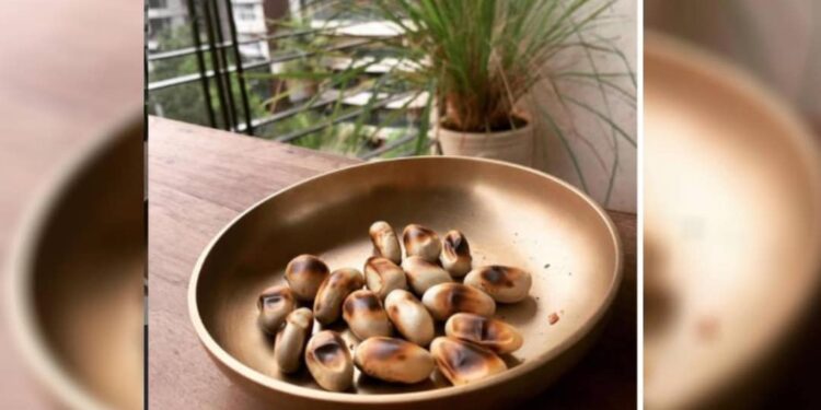 അറിയണം….-ചക്കരക്കുടമാണീ-ചക്കക്കുരു