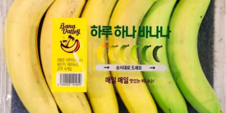 പഴുക്കുന്നതനുസരിച്ച്-ഓരോ-ദിവസവും-ഓരോ-പഴം!-ഇതാണ്-കച്ചവടം