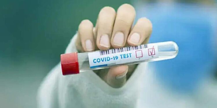 ‘കുസാറ്റിൽ-കൊവിഡ്-ഫലം-തിരുത്തി-വിദ്യാർഥി-പരീക്ഷയെഴുതി,-ആൾമാറാട്ടം-നടത്തി’:-4-പേർക്ക്-രോഗബാധ