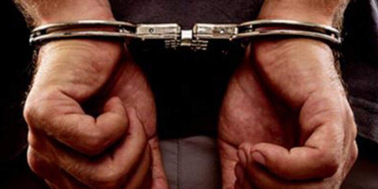 നടിയെ-ആക്രമിച്ച-കേസ്:-മാപ്പുസാക്ഷി-വിഷ്ണു-അറസ്റ്റിൽ