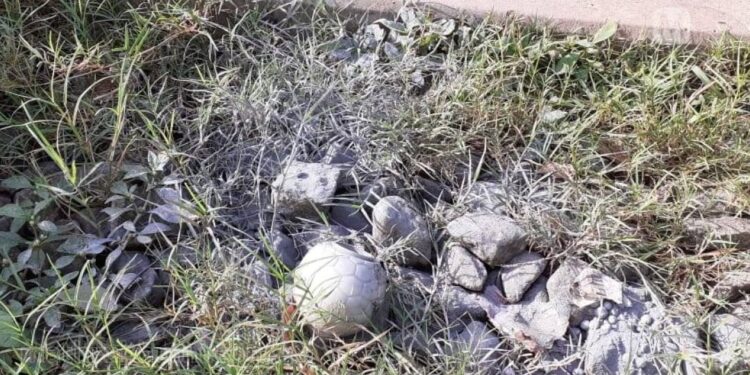 കല്ലായിലെ-റെയില്‍വേ-ട്രാക്കില്‍-കണ്ടത്-പടക്കം;-നടപടിയെടുക്കുമെന്ന്-കമ്മീഷണര്‍