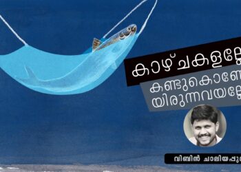 കാഴ്ചകളല്ലേ,-കണ്ടുകൊണ്ടേയിരുന്നവയല്ലേ!