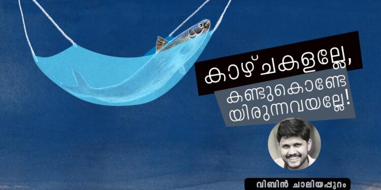 കാഴ്ചകളല്ലേ,-കണ്ടുകൊണ്ടേയിരുന്നവയല്ലേ!