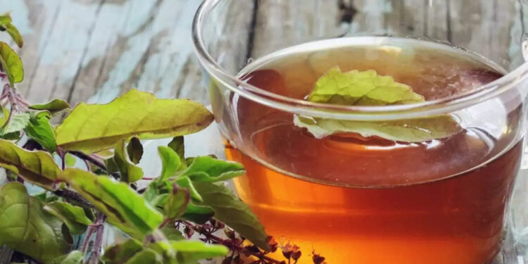 വയറ്റിലെ-അസ്വസ്ഥതകൾക്ക്-പരിഹാരം-ഈ-തുളസി-കഷായം