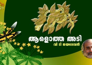 ആളൊത്ത-അടി-വി-ടി-ജയദേവൻ-എഴുതിയ-കവിത