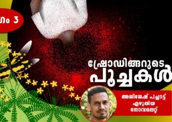 ഷ്രോഡിങ്ങറുടെ-പൂച്ച-നോവലെറ്റ്-മൂന്നാം-ഭാഗം