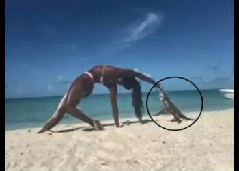 ബീച്ചിൽ-യോഗ-ചെയ്യുന്നതൊക്കെ-നല്ലതാ!-പക്ഷെ-ഇക്കാര്യം-ശ്രദ്ധിക്കണം