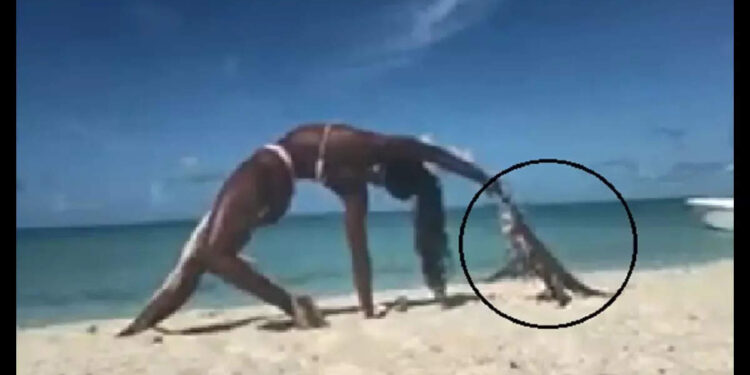 ബീച്ചിൽ-യോഗ-ചെയ്യുന്നതൊക്കെ-നല്ലതാ!-പക്ഷെ-ഇക്കാര്യം-ശ്രദ്ധിക്കണം