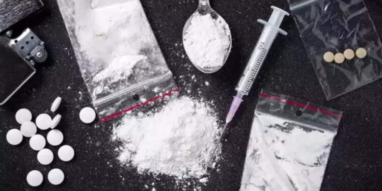 കൊച്ചി-ലഹരി-മരുന്ന്-കേസ്;-അന്വേഷണം-തമിഴ്നാട്ടിലേക്കും,-വിട്ടയച്ച-യുവതിയും-നിരീക്ഷണത്തിൽ