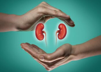 വൃക്ക-രോഗികൾ-കഴിക്കേണ്ട-ഭക്ഷണം-എന്ത്?