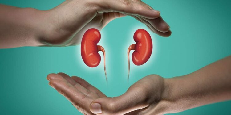 വൃക്ക-രോഗികൾ-കഴിക്കേണ്ട-ഭക്ഷണം-എന്ത്?