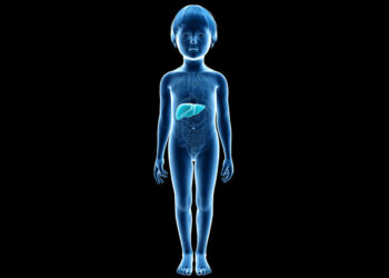 പ്രതിവര്‍ഷം-10-കോടി-ആളുകള്‍-ആഗോളതലത്തിൽ-ഹെപ്പറ്റൈറ്റിസ്-എ-ബാധിതരാകുന്നുവെന്ന്-ലോകാരോഗ്യ-സംഘടന;-ഹെപ്പറ്റൈറ്റിസ്-എ-രോഗ-പ്രതിരോധത്തെക്കുറിച്ചും-വാക്സിനേഷനെക്കുറിച്ചും-നിങ്ങൾ-അറിയേണ്ടതെല്ലാം