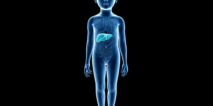 പ്രതിവര്‍ഷം-10-കോടി-ആളുകള്‍-ആഗോളതലത്തിൽ-ഹെപ്പറ്റൈറ്റിസ്-എ-ബാധിതരാകുന്നുവെന്ന്-ലോകാരോഗ്യ-സംഘടന;-ഹെപ്പറ്റൈറ്റിസ്-എ-രോഗ-പ്രതിരോധത്തെക്കുറിച്ചും-വാക്സിനേഷനെക്കുറിച്ചും-നിങ്ങൾ-അറിയേണ്ടതെല്ലാം