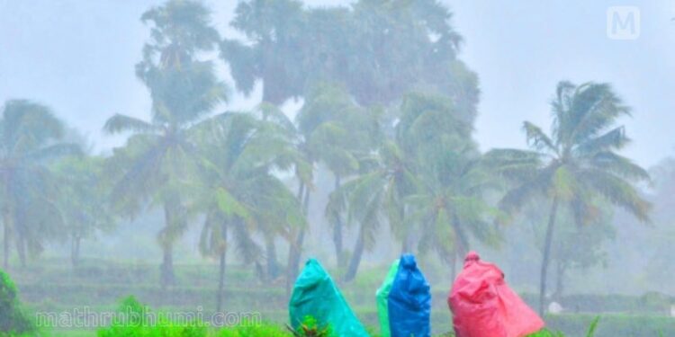 കേരളത്തില്‍-അതിശക്തമായ-മഴയ്ക്ക്-സാധ്യത;-വിവിധ-ജില്ലകളില്‍-ഓറഞ്ച്-അലര്‍ട്ട്-പ്രഖ്യാപിച്ചു