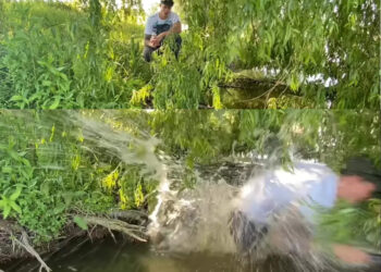 മീൻ-പിടിക്കാൻ-പോയിട്ട്-ഒടുവിൽ-മീൻ-പിടിച്ചോണ്ട്-പോയാലോ?-യമണ്ടൻ-ട്വിസ്റ്റ്