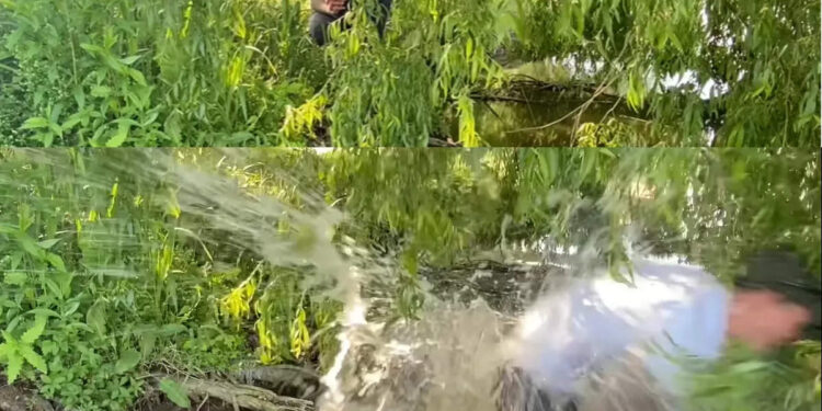 മീൻ-പിടിക്കാൻ-പോയിട്ട്-ഒടുവിൽ-മീൻ-പിടിച്ചോണ്ട്-പോയാലോ?-യമണ്ടൻ-ട്വിസ്റ്റ്