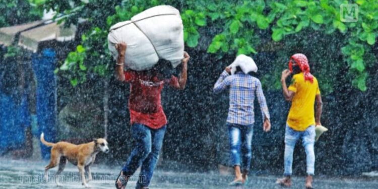 മധ്യകേരളത്തിലും-വടക്കന്‍-കേരളത്തിലും-ശക്തമായ-മഴക്ക്-സാധ്യത;-10-ജില്ലകളില്‍-യെല്ലോ-അലര്‍ട്ട്