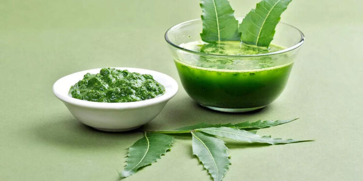 വേപ്പില-ജ്യൂസ്-ആക്കി-കുടിച്ചാൽ-പ്രമേഹത്തെ-വരുതിയിലാക്കാം