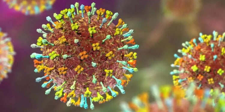 നിപ:-വ്യാജ-വാർത്തകൾ-പ്രചരിപ്പിക്കുന്നവർക്കെതിരെ-കർശന-നടപടി:-കോഴിക്കോട്-ജില്ലാ-കലക്ടർ