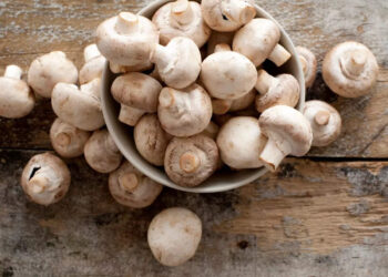 അറിഞ്ഞിരിക്കാം-കൂൺ-കഴിച്ചാൽ-ലഭിക്കുന്ന-ഗുണങ്ങൾ