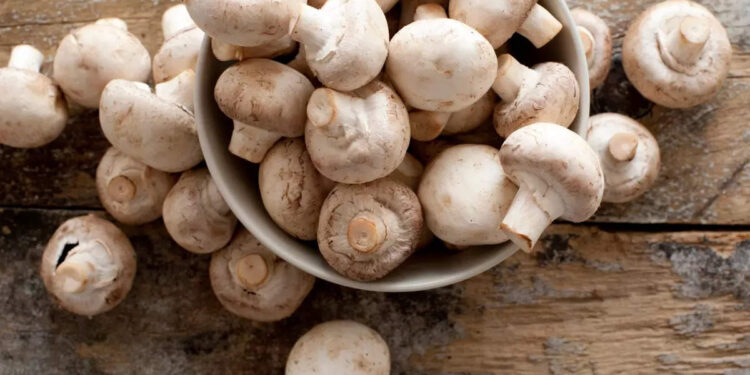 അറിഞ്ഞിരിക്കാം-കൂൺ-കഴിച്ചാൽ-ലഭിക്കുന്ന-ഗുണങ്ങൾ