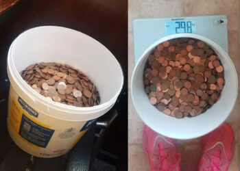 ചോദിച്ചത്-ശമ്പളം!-കിട്ടിയത്-ഒരു-ബക്കറ്റ്-നിറയെ-നാണയങ്ങൾ,-കാരണം