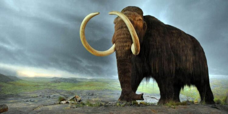 മാമത്തും-ആനയും-ചേര്‍ന്ന-മാമത്താന-പ്രകൃതിയെ-രക്ഷിക്കുമോ?-ജുറാസ്സിക്-പാര്‍ക്ക്-യാഥാര്‍ഥ്യമാകുമോ?