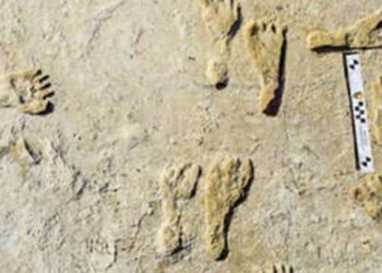 ഹിമയുഗത്തിനും-എത്രയോ-മുമ്പെ-വടക്കെ-അമേരിക്കയില്‍-മനുഷ്യനുണ്ടായിരുന്നു