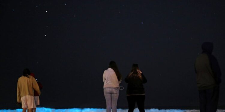 ‘പാല്‍ക്കടല്‍’-പ്രതിഭാസത്തിന്റെ-രഹസ്യം-തേടാന്‍-പുതിയ-ഉപഗ്രഹ-സാങ്കേതിക-വിദ്യ