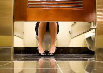 ടോയ്‌ലെറ്റിൽ-പോയ-ശേഷം-ഫ്ലഷ്-ചെയ്യാൻ-മറന്നോ?-പിഴ-അടയ്ക്കണം,-അല്ലെങ്കിൽ-ജയിലിലേക്ക്-പോകാം