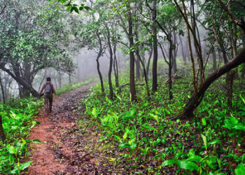 മദ്യപിച്ച്-ലക്കുകെട്ട്-‘കാണാതായ’-തന്നെ-തിരയാൻ-രക്ഷാപ്രവർത്തനത്തിൽ-ഒപ്പം-കൂടി-മധ്യവയസ്‌കൻ