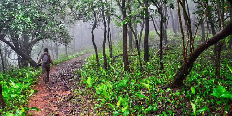 മദ്യപിച്ച്-ലക്കുകെട്ട്-‘കാണാതായ’-തന്നെ-തിരയാൻ-രക്ഷാപ്രവർത്തനത്തിൽ-ഒപ്പം-കൂടി-മധ്യവയസ്‌കൻ