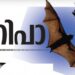 നിപായുടെ-ഉറവിടം-വവ്വാൽ-;-21-ദിവസം,-പുതിയ-കേസില്ല