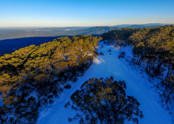 വിക്ടോറിയയുടെ റീജിയണൽ പ്രദേശങ്ങൾ കൂടുതൽ സ്വാതന്ത്ര്യത്തിലേക്ക് .