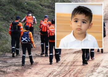 മൂന്നുദിവസം മുൻപ് NSW – വിൽ നിന്നും കാണാതായ 3 വയസുകാരനെ കണ്ടെത്തി.