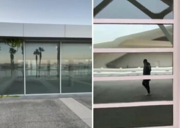 ഭൂമിയില്‍-കൂട്ടവംശനാശം;-2027-ലെ-വീഡിയോ-പുറത്തുവിട്ട്-‘ടൈം-ട്രാവല്‍’-നടത്തിയ-യുവാവ്