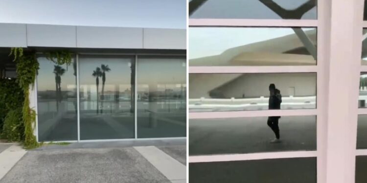 ഭൂമിയില്‍-കൂട്ടവംശനാശം;-2027-ലെ-വീഡിയോ-പുറത്തുവിട്ട്-‘ടൈം-ട്രാവല്‍’-നടത്തിയ-യുവാവ്