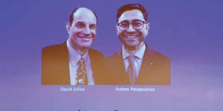 എരിവും-ചൂടും-അനുഭവപ്പെടുന്നതെങ്ങനെ,-ഇന്ദ്രിയങ്ങളുടെ-രഹസ്യം-പുറത്ത്-വന്നത്-ഇവരിലൂടെ