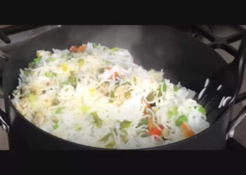 ചൈനീസ്-ബിരിയാണിയോ?-സത്യം-പറയടാ!-നീ-ഫ്രൈഡ്-റൈസ്-അല്ലേ