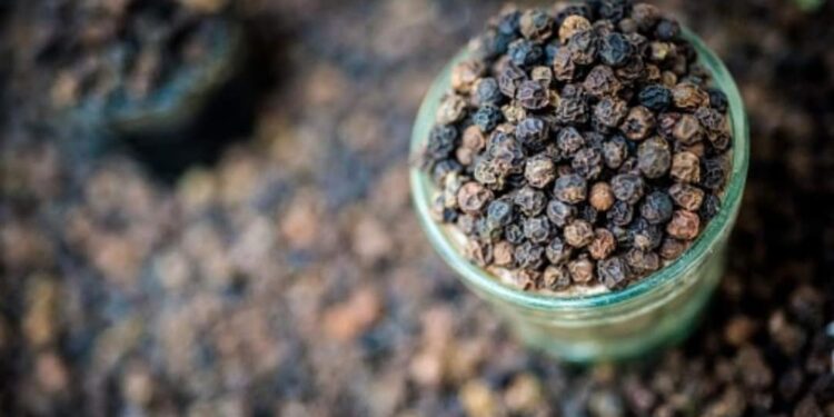 കുരുമുളകില്‍-മായമുണ്ടോ?-കണ്ടുപിടിക്കാന്‍-എളുപ്പവഴിയുമായി-എഫ്എസ്എസ്എസ്എഐ.