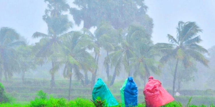 തിങ്കളാഴ്ചയും-വിവിധ-ജില്ലകളില്-മഴയ്ക്കും-കാറ്റിനും-സാധ്യത