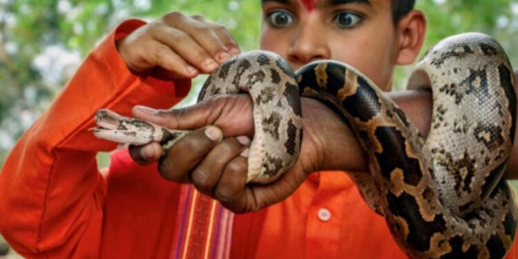 ഉറക്കത്തില്‍-കൊക്കയിലേക്കെന്ന-പോലെ-വീഴാറില്ലെ,-പാമ്പിനെ-സ്വപ്‌നം-കാണാറില്ലേ;-കാരണമുണ്ട്